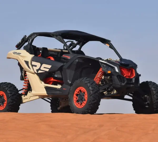 2 Seater Can-AM Maveric