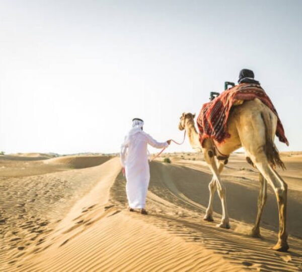 Camel Ride Experience in Dubai Desert (15 – 25 Min)