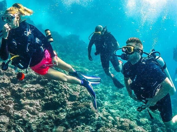 Scuba Diving in Dubai (Sharing Transfer)