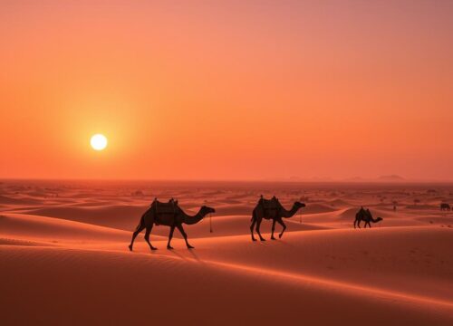 Adventure Camelback Riding: An Exhilarating Way to See the Desert