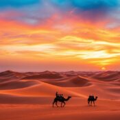 Adventure Desert Safari Booking