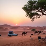 Eco-Friendly Desert Safari Dubai