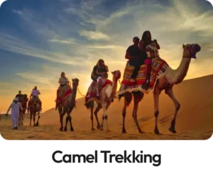 Camel Trekking