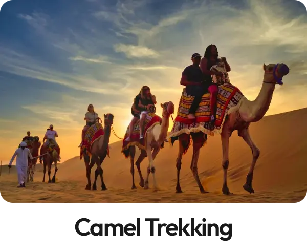 Camel Trekking