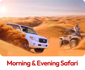 Morning & Evening Safari