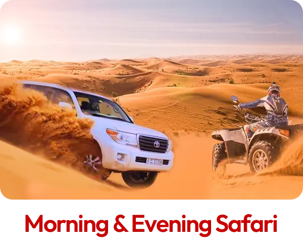 Morning & Evening Safari